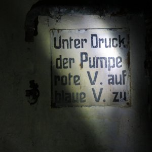 IMG_8637.JPG