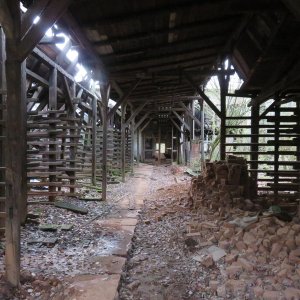 IMG_8338.JPG