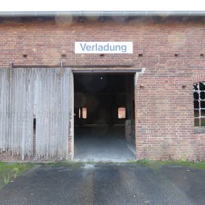 IMG_8927.JPG