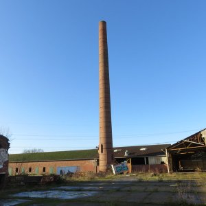 IMG_8875.JPG