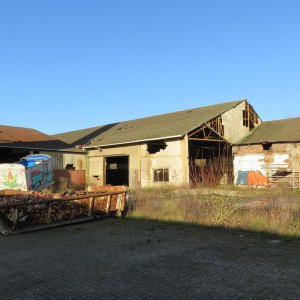 IMG_8862.JPG