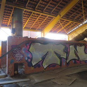 IMG_8867.JPG