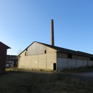 IMG_8898.JPG