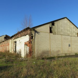 IMG_8890.JPG