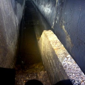 BWST_5.jpg
