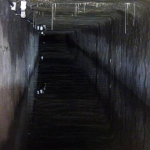 BWST_6.jpg