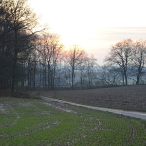 DSC_0061.jpg