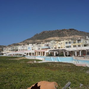 DSC02013.JPG