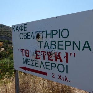 P1000470.JPG