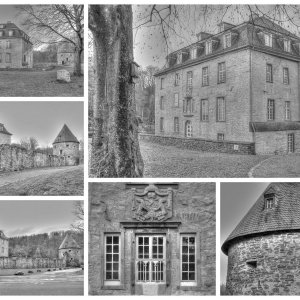 Collage_Fotorx.jpg