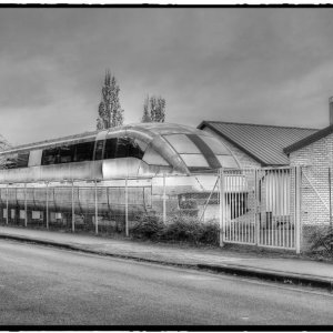 IMG_4982_Fotor.jpg