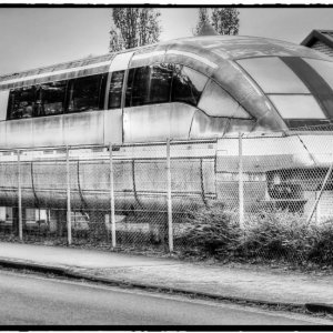 IMG_4983_Fotor.jpg