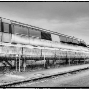 IMG_4989_Fotor.jpg