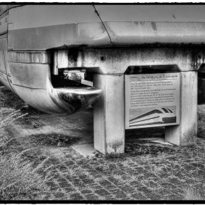 IMG_4992_Fotor.jpg