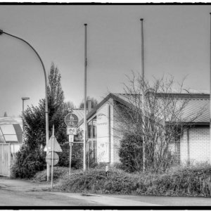 IMG_5001_Fotor.jpg
