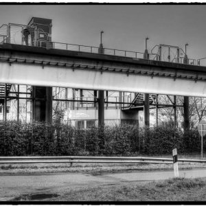 IMG_5007_Fotor.jpg