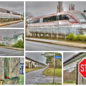 Collage_Fotor.jpg