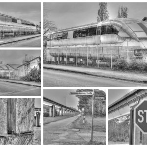 Collage_Fotorx.jpg