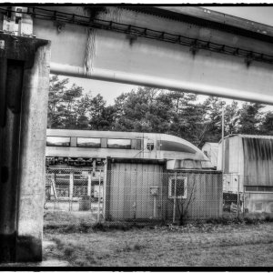 IMG_5020_Fotor.jpg