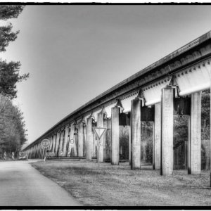 IMG_5022_Fotor.jpg