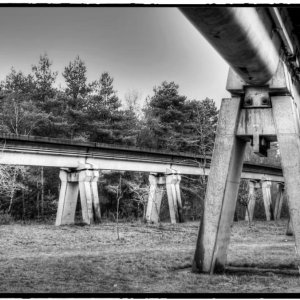 IMG_5023_Fotor.jpg