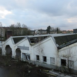 IMG_3645.JPG