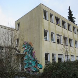 IMG_3598.JPG