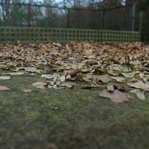 Dsc_0140.jpg
