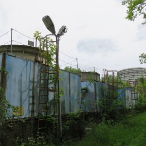IMG_9868.JPG