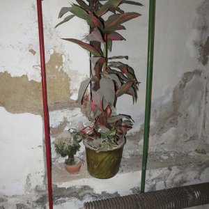 IMG_0629.JPG