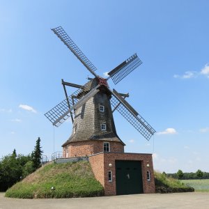 IMG_1532.JPG