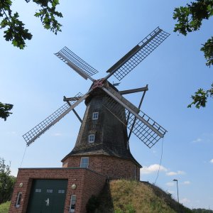 IMG_1538.JPG