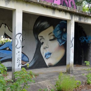 DSC_0019.jpg