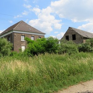 IMG_2039.JPG