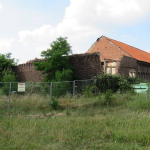 IMG_2072.JPG