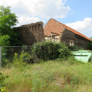 IMG_2049.JPG