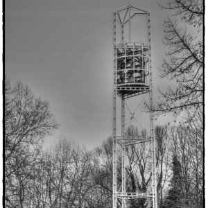 IMG_6230.jpg