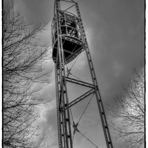 IMG_6236.jpg