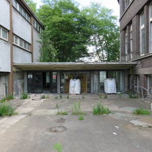 IMG_2164.JPG
