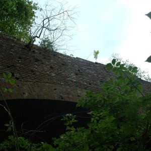SAB (22).JPG