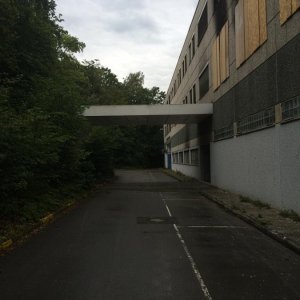 IMG_73872.jpg