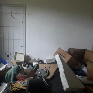 20170911_183127.jpg