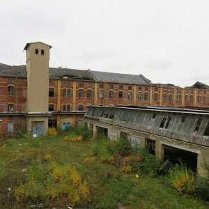 IMG_2497.JPG