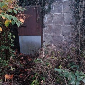 20201105_172133.jpeg
