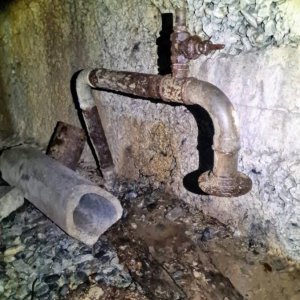 20201105_171808.jpeg