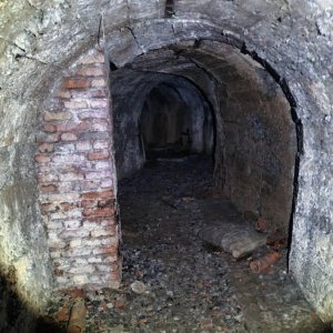 20201105_171735.jpeg