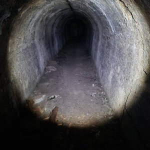 20201105_171423.jpeg