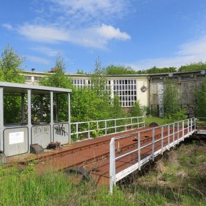 IMG_5948.JPG