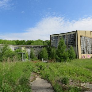 IMG_5951.JPG