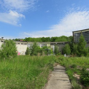 IMG_5950.JPG